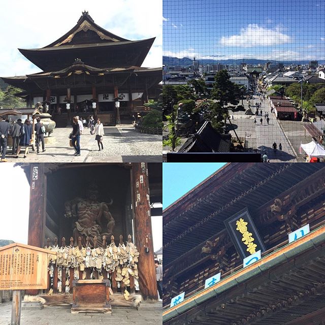 Zenkoji-temple is great !!#japanesetemple #zenkoji